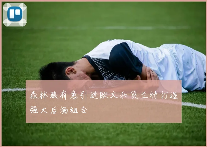 森林狼有意引进欧文和莫兰特打造强大后场组合