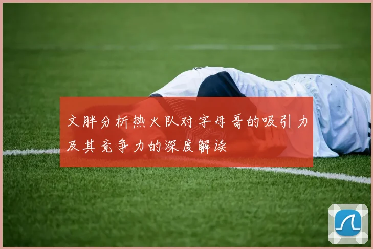 文胖分析热火队对字母哥的吸引力及其竞争力的深度解读