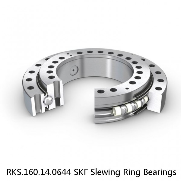 RKS.160.14.0644 SKF Slewing Ring Bearings