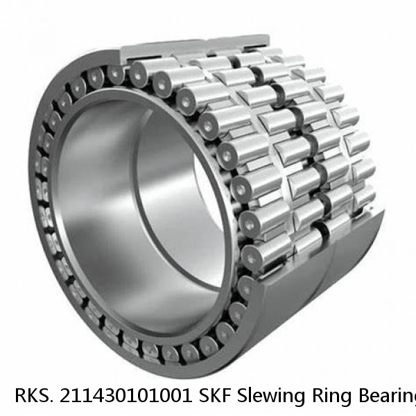 RKS. 211430101001 SKF Slewing Ring Bearings