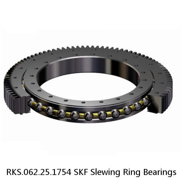 RKS.062.25.1754 SKF Slewing Ring Bearings