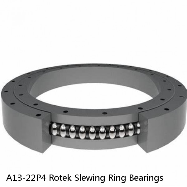 A13-22P4 Rotek Slewing Ring Bearings