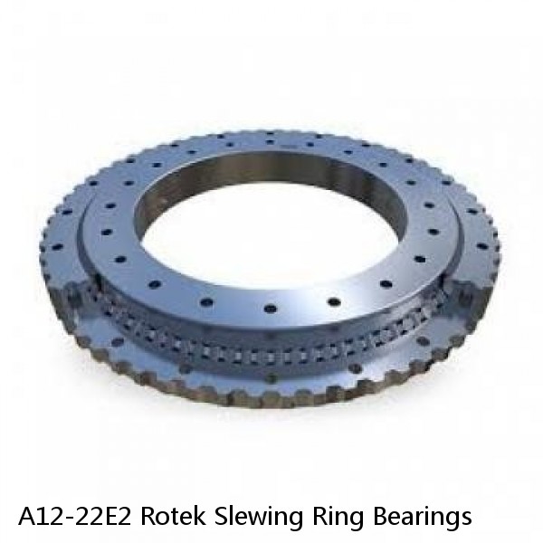 A12-22E2 Rotek Slewing Ring Bearings