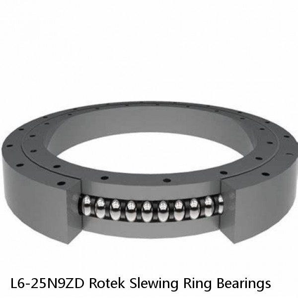 L6-25N9ZD Rotek Slewing Ring Bearings