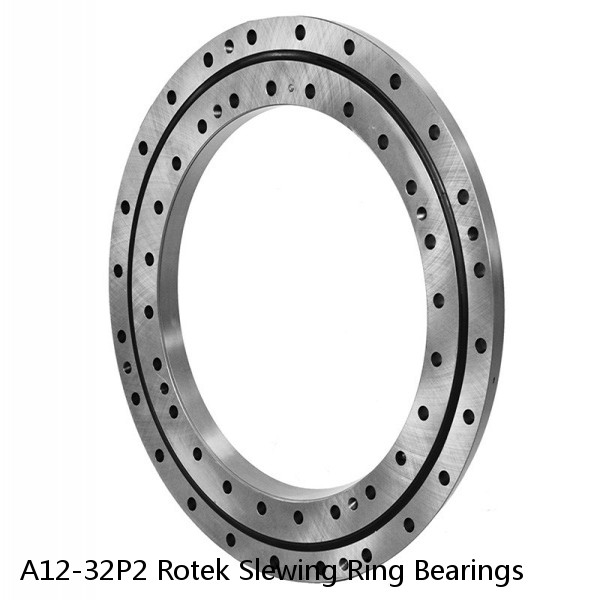 A12-32P2 Rotek Slewing Ring Bearings