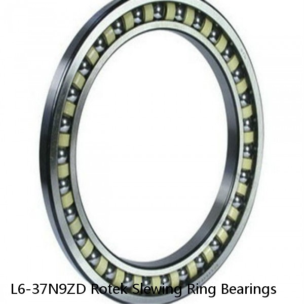 L6-37N9ZD Rotek Slewing Ring Bearings