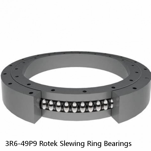 3R6-49P9 Rotek Slewing Ring Bearings