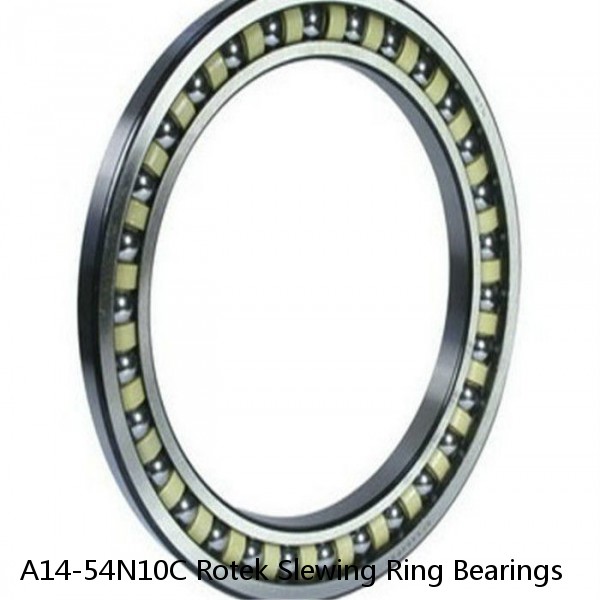 A14-54N10C Rotek Slewing Ring Bearings