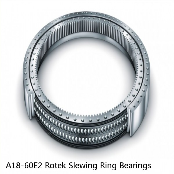 A18-60E2 Rotek Slewing Ring Bearings