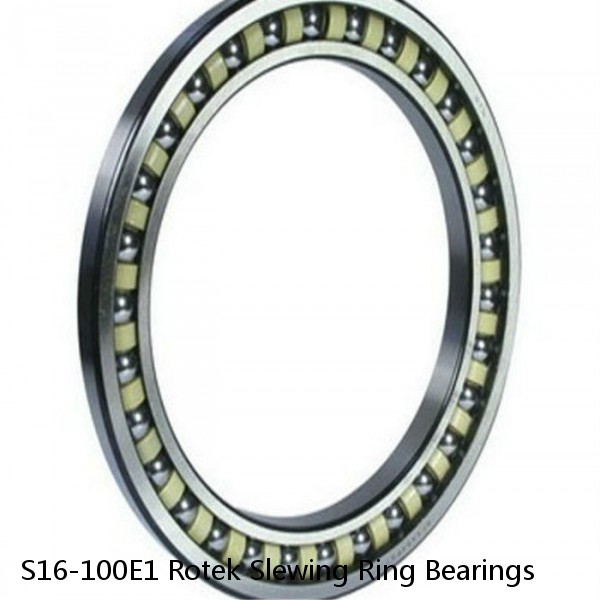 S16-100E1 Rotek Slewing Ring Bearings