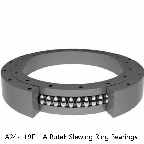 A24-119E11A Rotek Slewing Ring Bearings