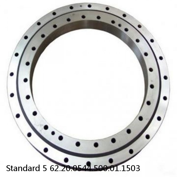 62.20.0544.500.01.1503 Standard 5 Slewing Ring Bearings