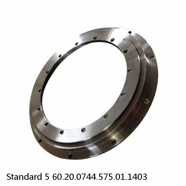 60.20.0744.575.01.1403 Standard 5 Slewing Ring Bearings