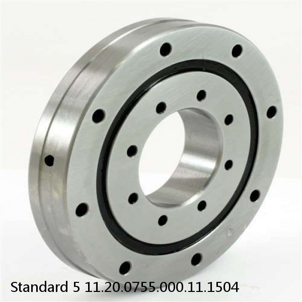 11.20.0755.000.11.1504 Standard 5 Slewing Ring Bearings