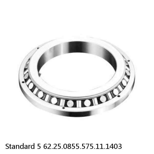 62.25.0855.575.11.1403 Standard 5 Slewing Ring Bearings