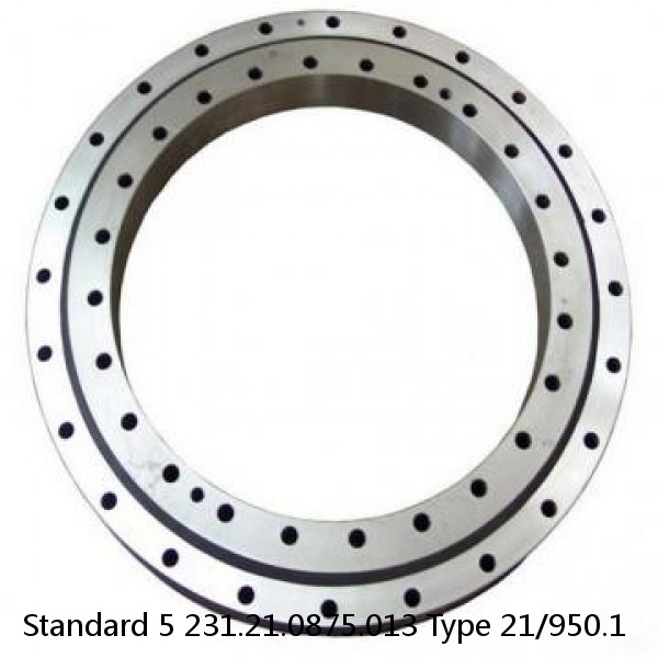 231.21.0875.013 Type 21/950.1 Standard 5 Slewing Ring Bearings