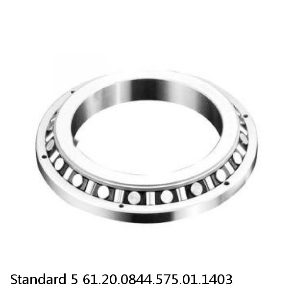 61.20.0844.575.01.1403 Standard 5 Slewing Ring Bearings