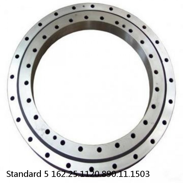 162.25.1120.890.11.1503 Standard 5 Slewing Ring Bearings