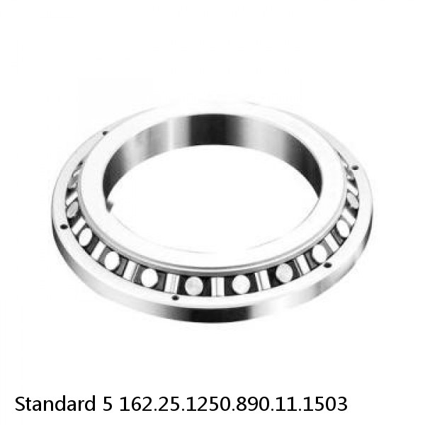 162.25.1250.890.11.1503 Standard 5 Slewing Ring Bearings