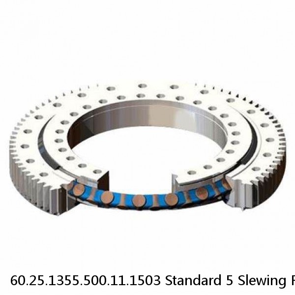 60.25.1355.500.11.1503 Standard 5 Slewing Ring Bearings