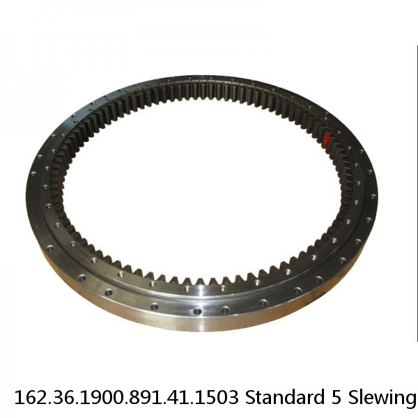 162.36.1900.891.41.1503 Standard 5 Slewing Ring Bearings