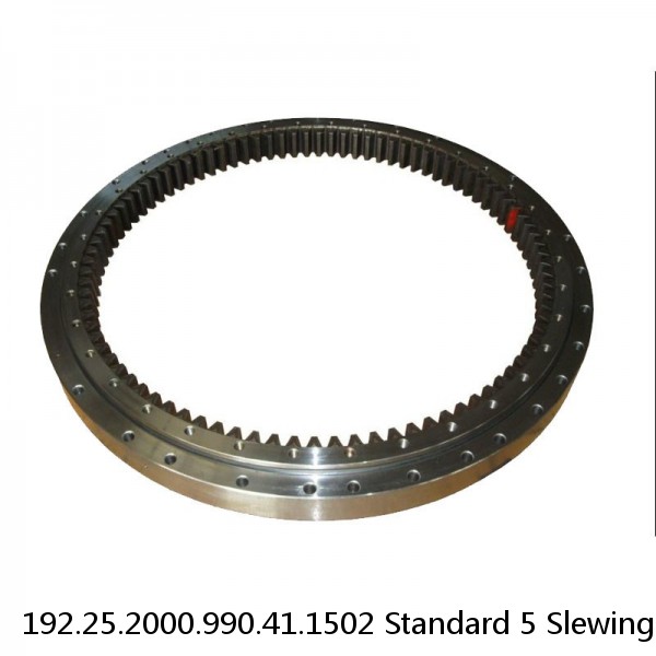 192.25.2000.990.41.1502 Standard 5 Slewing Ring Bearings