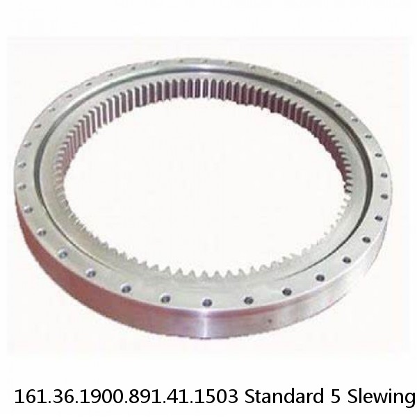 161.36.1900.891.41.1503 Standard 5 Slewing Ring Bearings