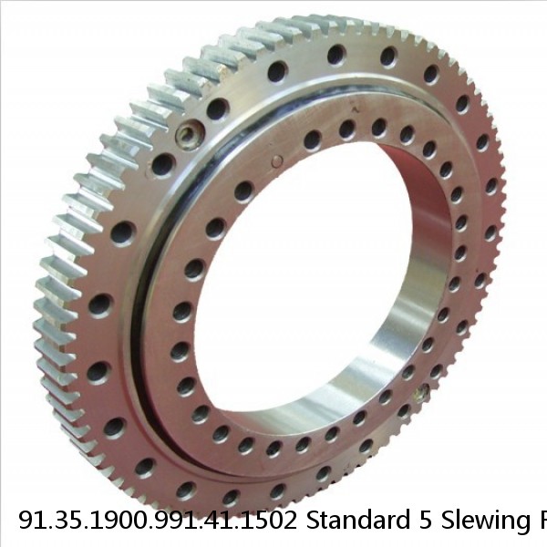 91.35.1900.991.41.1502 Standard 5 Slewing Ring Bearings