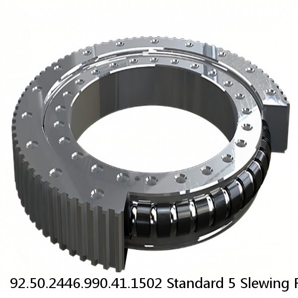 92.50.2446.990.41.1502 Standard 5 Slewing Ring Bearings