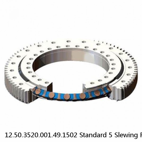 12.50.3520.001.49.1502 Standard 5 Slewing Ring Bearings