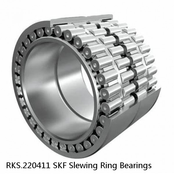 RKS.220411 SKF Slewing Ring Bearings