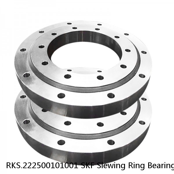 RKS.222500101001 SKF Slewing Ring Bearings