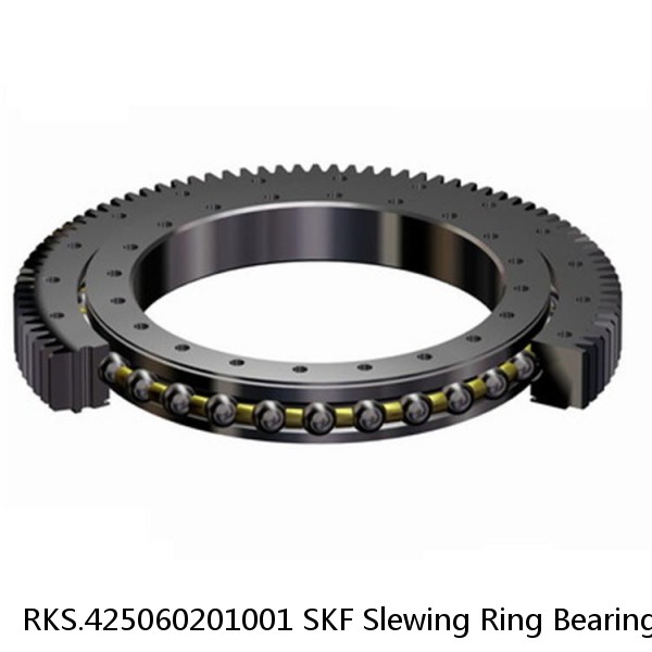 RKS.425060201001 SKF Slewing Ring Bearings