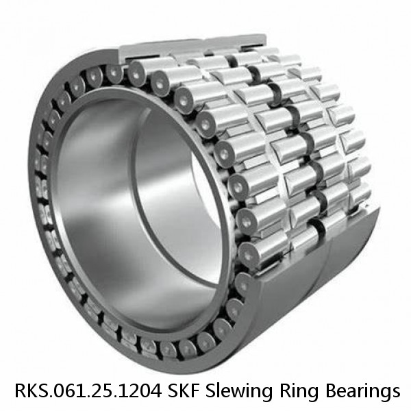 RKS.061.25.1204 SKF Slewing Ring Bearings