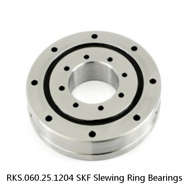 RKS.060.25.1204 SKF Slewing Ring Bearings