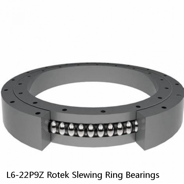 L6-22P9Z Rotek Slewing Ring Bearings