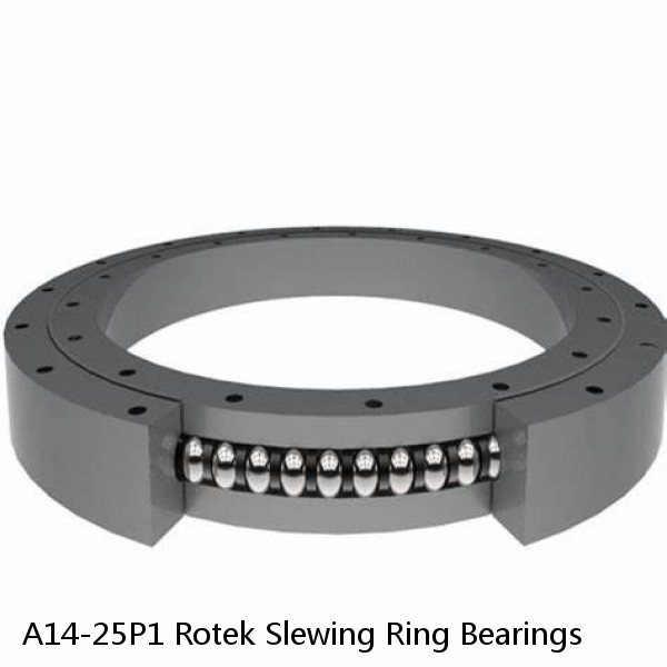 A14-25P1 Rotek Slewing Ring Bearings