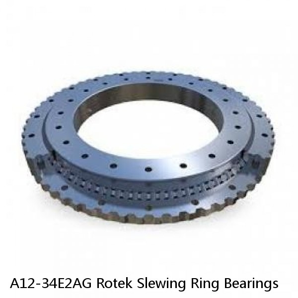 A12-34E2AG Rotek Slewing Ring Bearings