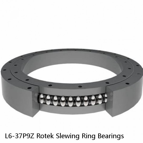 L6-37P9Z Rotek Slewing Ring Bearings