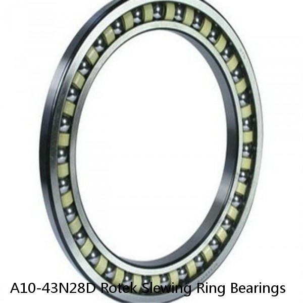 A10-43N28D Rotek Slewing Ring Bearings