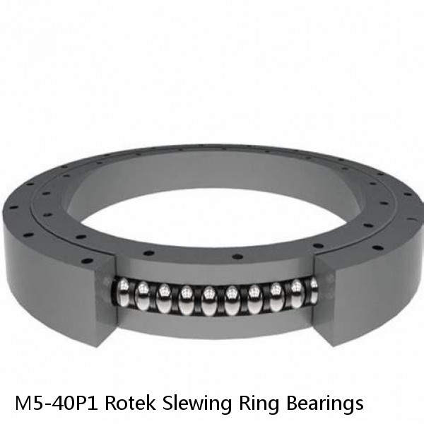 M5-40P1 Rotek Slewing Ring Bearings