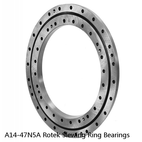 A14-47N5A Rotek Slewing Ring Bearings