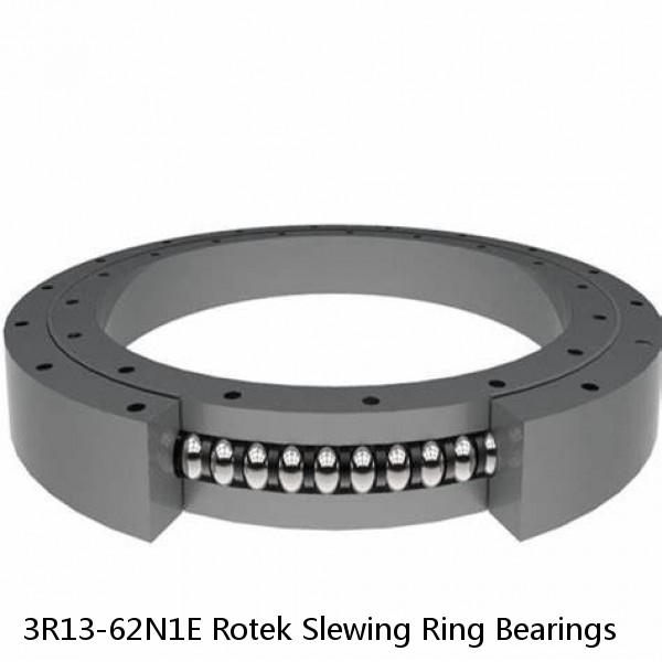 3R13-62N1E Rotek Slewing Ring Bearings