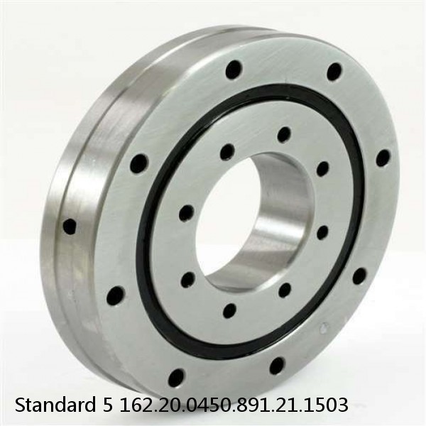 162.20.0450.891.21.1503 Standard 5 Slewing Ring Bearings