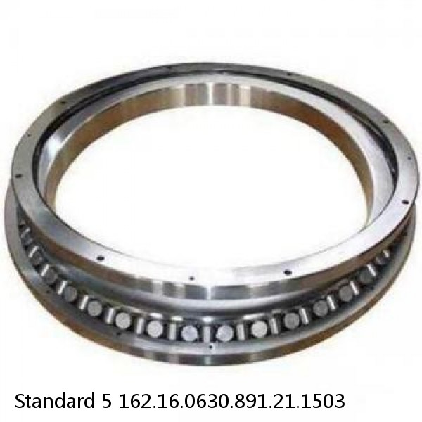 162.16.0630.891.21.1503 Standard 5 Slewing Ring Bearings