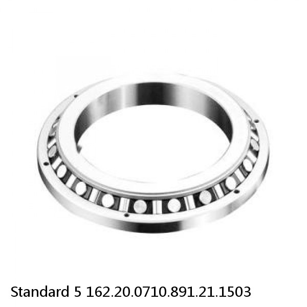 162.20.0710.891.21.1503 Standard 5 Slewing Ring Bearings