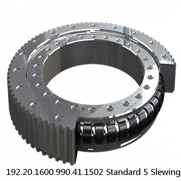 192.20.1600.990.41.1502 Standard 5 Slewing Ring Bearings