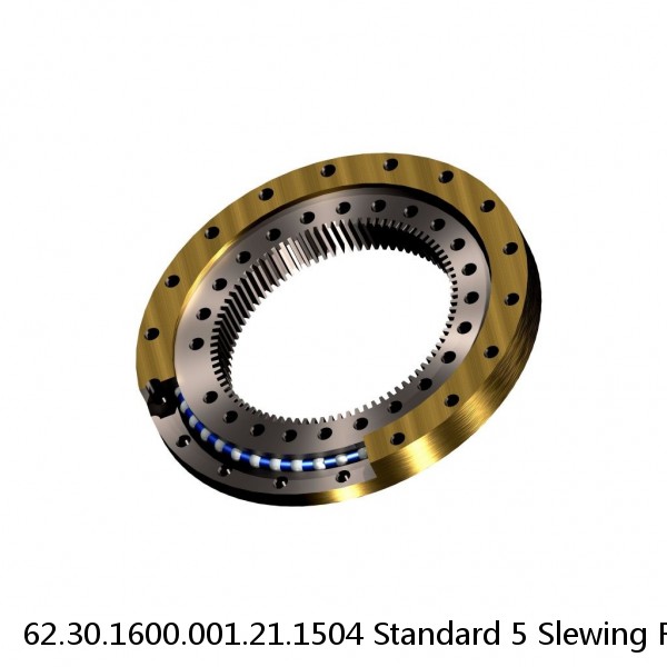 62.30.1600.001.21.1504 Standard 5 Slewing Ring Bearings