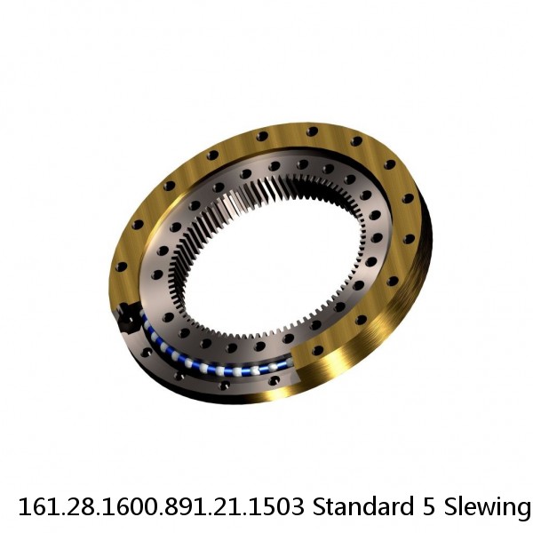 161.28.1600.891.21.1503 Standard 5 Slewing Ring Bearings